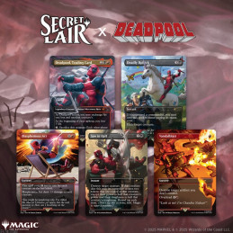 MTG - Secret Lair Drop...