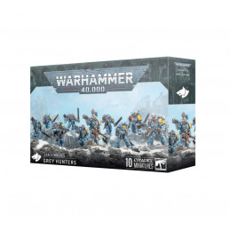 Space Wolves: Grey Hunters...