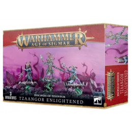 Disciples of Tzeentch...
