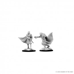 D&D Miniatures: Vampires