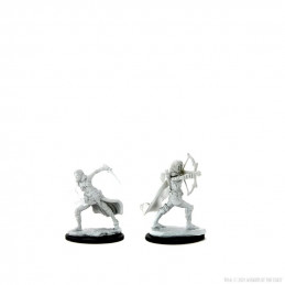 D&D Miniatures: Air Genasi...