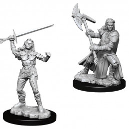 D&D Miniatures: Female...