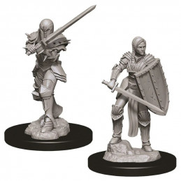 D&D Miniatures: Female...