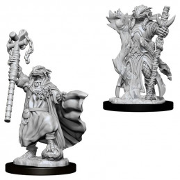 D&D Miniatures: Female...