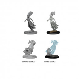 D&D Miniatures: Ghost &...