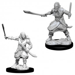 D&D Miniatures: Bandits