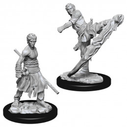 D&D Miniatures: Male...