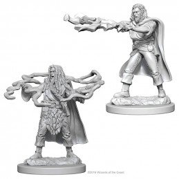 D&D Miniatures: Male Human...