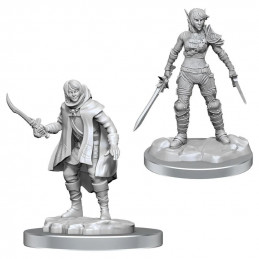 D&D Miniatures: Elf Rogue &...