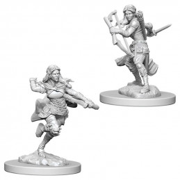 D&D Miniatures: Air Genasi...