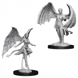 D&D Miniatures: Succubus...