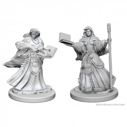 D&D Miniatures: Female...