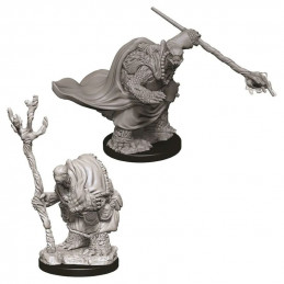 D&D Miniatures: Tortle...