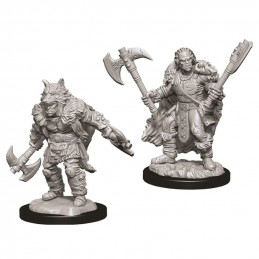 D&D Miniatures: Male...