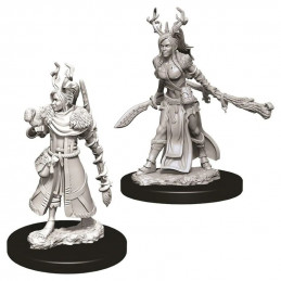 D&D Miniatures: Female...