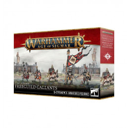 Cities of Sigmar Freeguild...