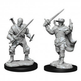 D&D Miniatures: Human Bard...