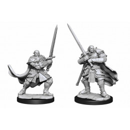 D&D Miniatures: Male...