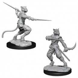 D&D Miniatures: Male Tabaxi...