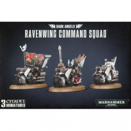 Ravenwing Command Squad