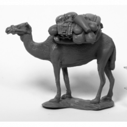 80075: Camel w/ Pack