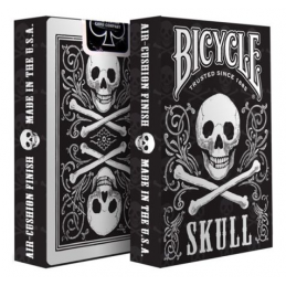 Bicycle: Skull
