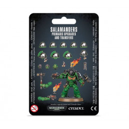 Salamanders Primaris...