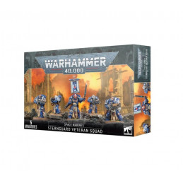 Space Marines Sternguard...